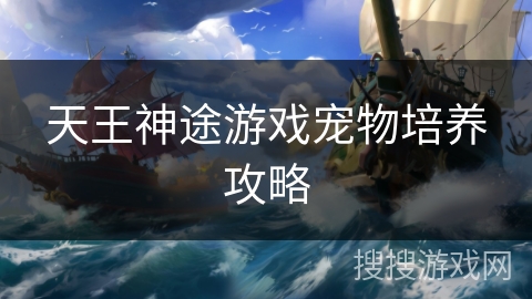 天王神途游戏宠物培养攻略