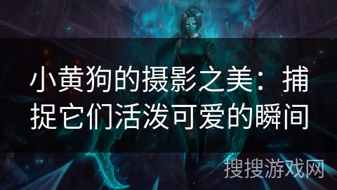 小黄狗的摄影之美：捕捉它们活泼可爱的瞬间