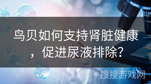 鸟贝如何支持肾脏健康，促进尿液排除？