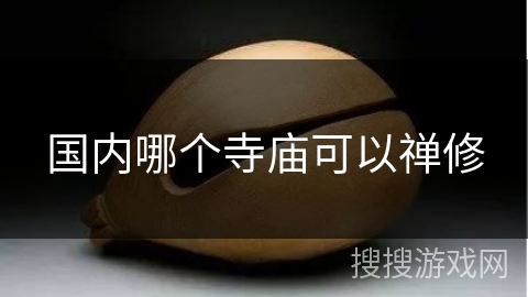 国内哪个寺庙可以禅修