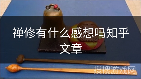 禅修有什么感想吗知乎文章