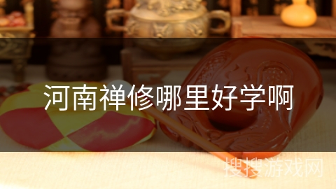 河南禅修哪里好学啊