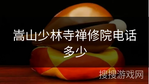 嵩山少林寺禅修院电话多少