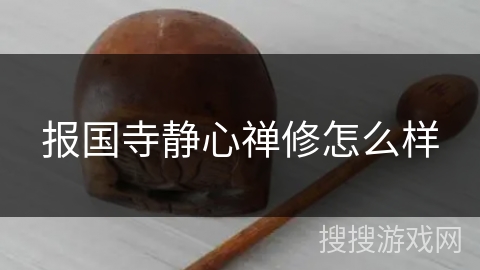 报国寺静心禅修怎么样