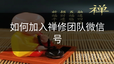 如何加入禅修团队微信号