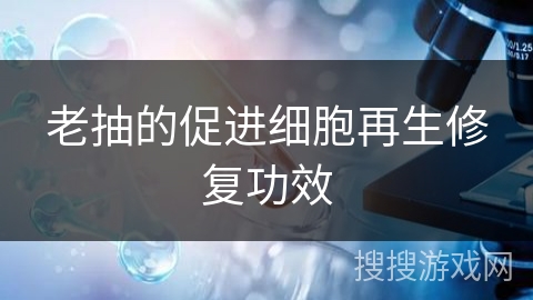 老抽的促进细胞再生修复功效