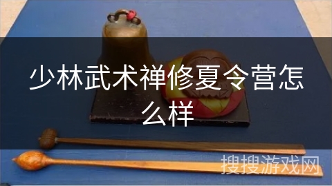 少林武术禅修夏令营怎么样