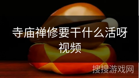 寺庙禅修要干什么活呀视频