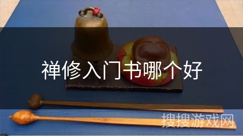 禅修入门书哪个好