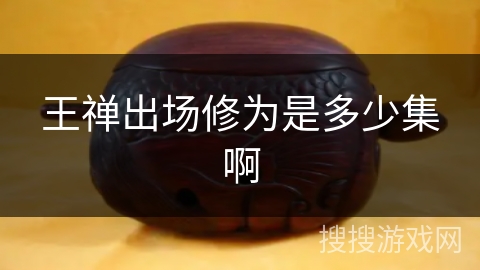 王禅出场修为是多少集啊