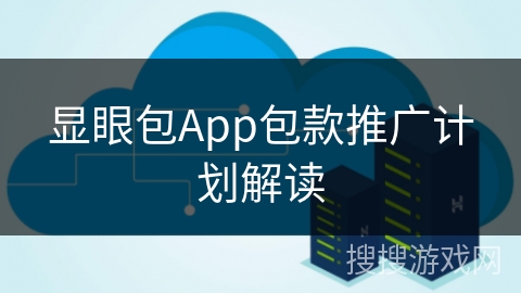 显眼包App包款推广计划解读
