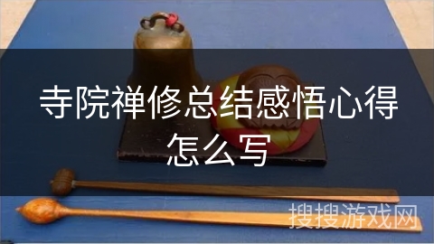 寺院禅修总结感悟心得怎么写