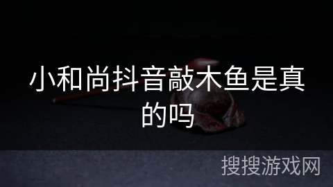 小和尚抖音敲木鱼是真的吗