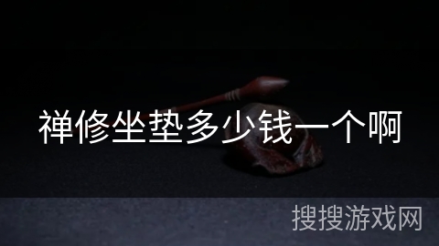 禅修坐垫多少钱一个啊