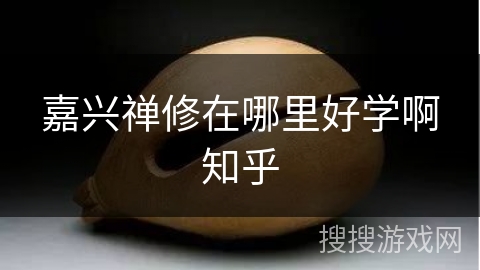 嘉兴禅修在哪里好学啊知乎