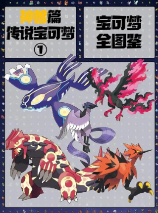 《口袋图鉴》介绍