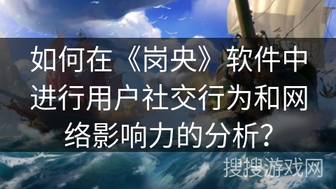 如何在《岗央》软件中进行用户社交行为和网络影响力的分析？