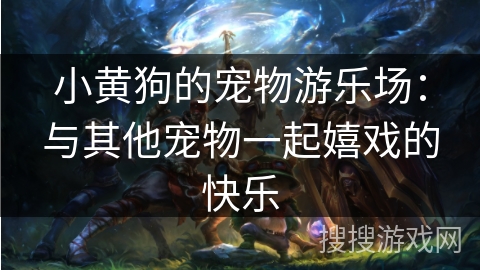 小黄狗的宠物游乐场：与其他宠物一起嬉戏的快乐