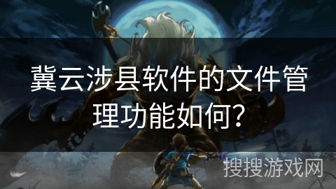 冀云涉县软件的文件管理功能如何？