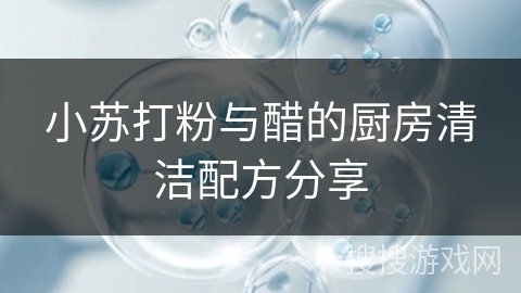 小苏打粉与醋的厨房清洁配方分享