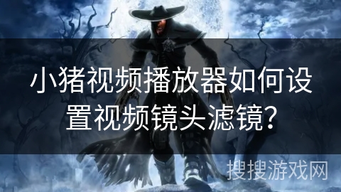 小猪视频播放器如何设置视频镜头滤镜? 小猪视频播放器如何设置视频镜头滤镜?