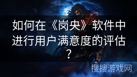 如何在《岗央》软件中进行用户满意度的评估？