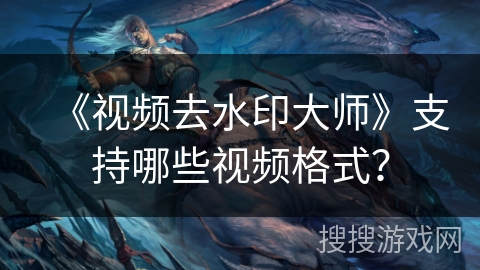 《视频去水印大师》支持哪些视频格式？