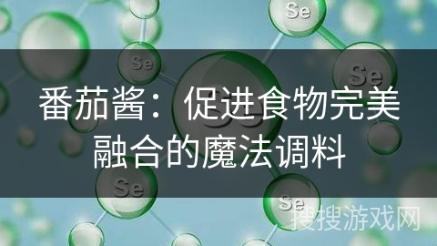 番茄酱：促进食物完美融合的魔法调料