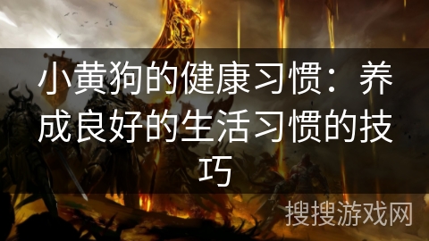小黄狗的健康习惯：养成良好的生活习惯的技巧