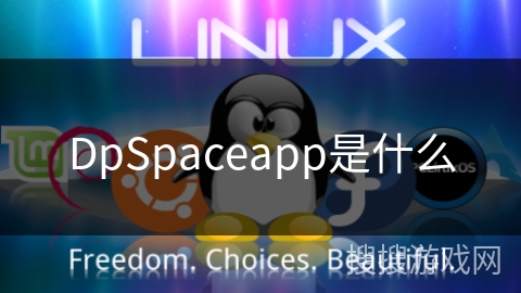 DpSpaceapp是什么