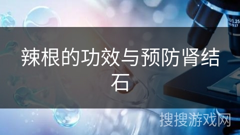 辣根的功效与预防肾结石