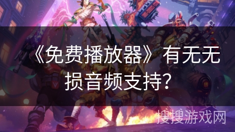 《免费播放器》有无无损音频支持？