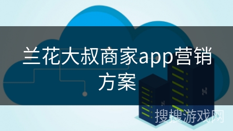 兰花大叔商家app营销方案