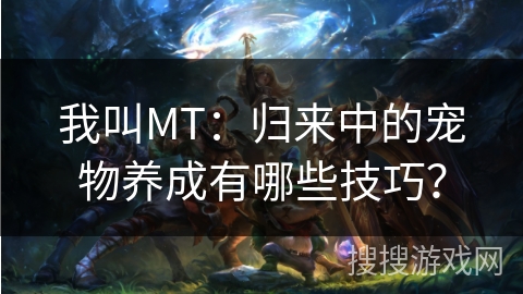 我叫MT：归来中的宠物养成有哪些技巧？