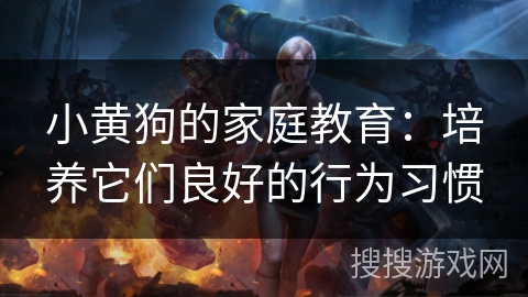 小黄狗的家庭教育：培养它们良好的行为习惯