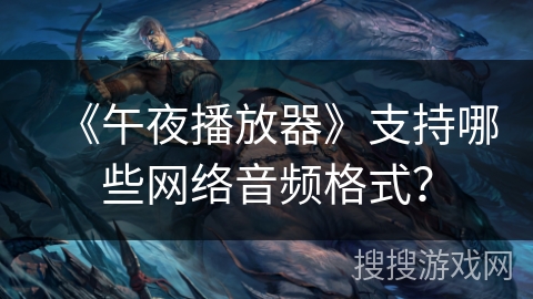 《午夜播放器》支持哪些网络音频格式？