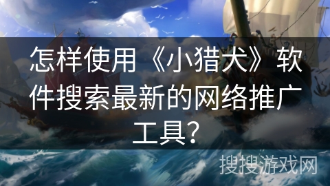 怎样使用《小猎犬》软件搜索最新的网络推广工具？