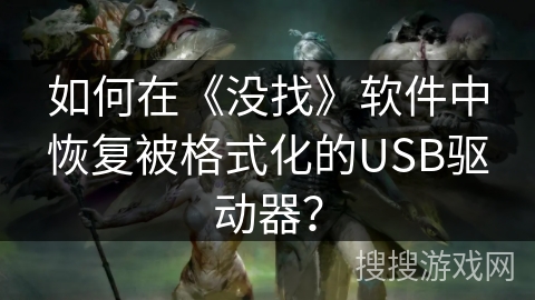 如何在《没找》软件中恢复被格式化的USB驱动器？