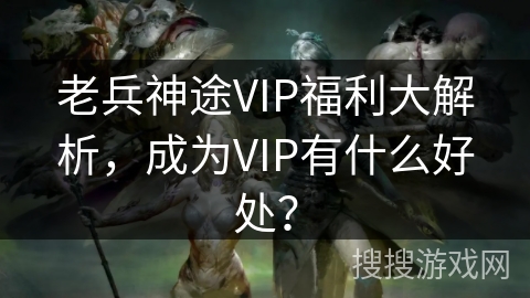 老兵神途VIP福利大解析，成为VIP有什么好处？