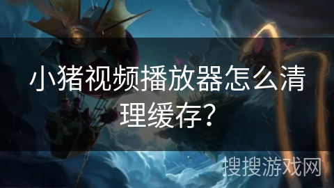 小猪视频播放器怎么清理缓存? 小猪视频播放器怎么清理缓存?