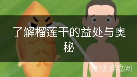 了解榴莲干的益处与奥秘