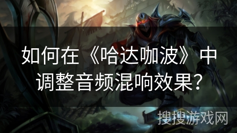 如何在《哈达咖波》中调整音频混响效果？