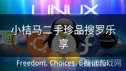 小桔马二手珍品搜罗乐享