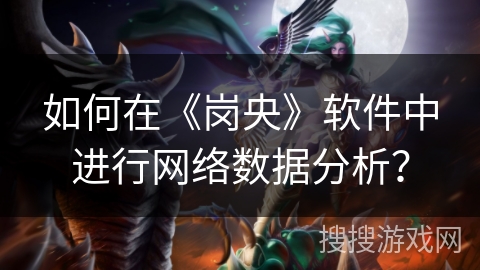 如何在《岗央》软件中进行网络数据分析？