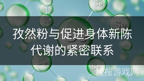 孜然粉与促进身体新陈代谢的紧密联系