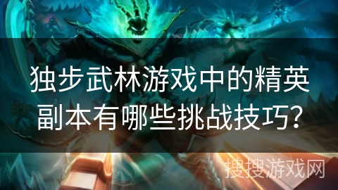 独步武林游戏中的精英副本有哪些挑战技巧？