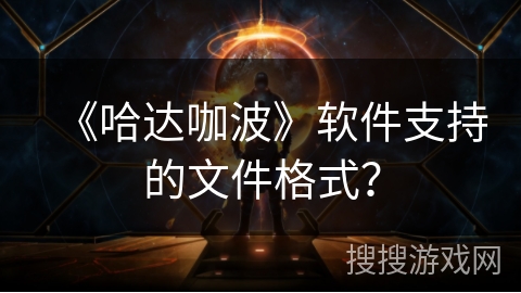 《哈达咖波》软件支持的文件格式？