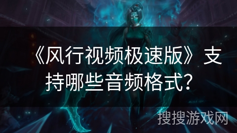 《风行视频极速版》支持哪些音频格式？