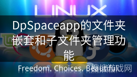DpSpaceapp的文件夹嵌套和子文件夹管理功能