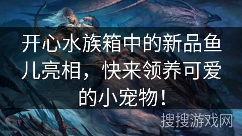 开心水族箱中的新品鱼儿亮相，快来领养可爱的小宠物！